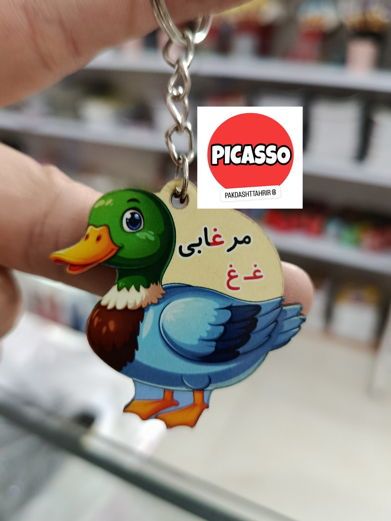 گیفت الفبا - غ - مرغابی سرکلیدی
